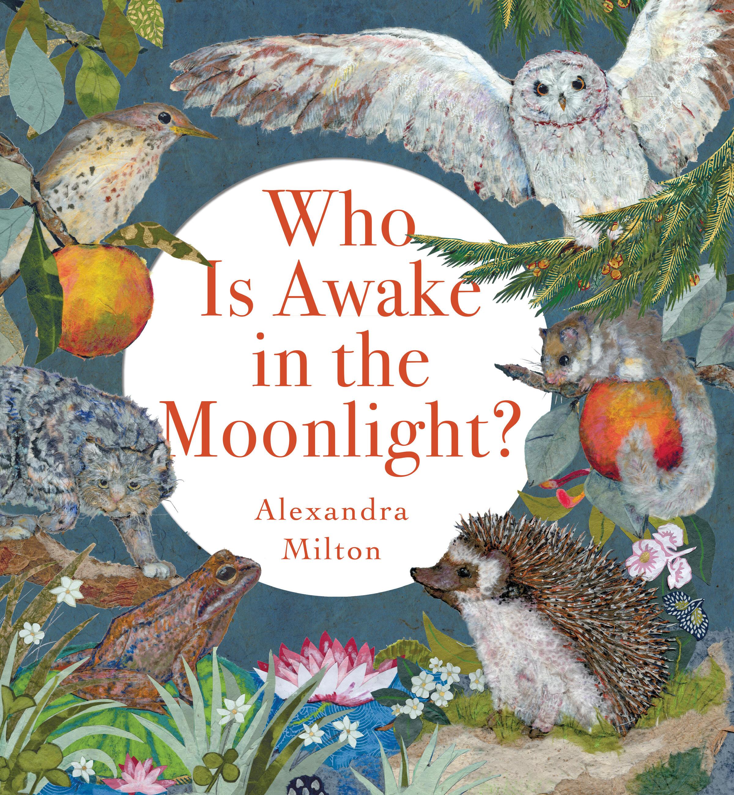 Vorderes Coverbild Who Is Awake in the Moonlight?