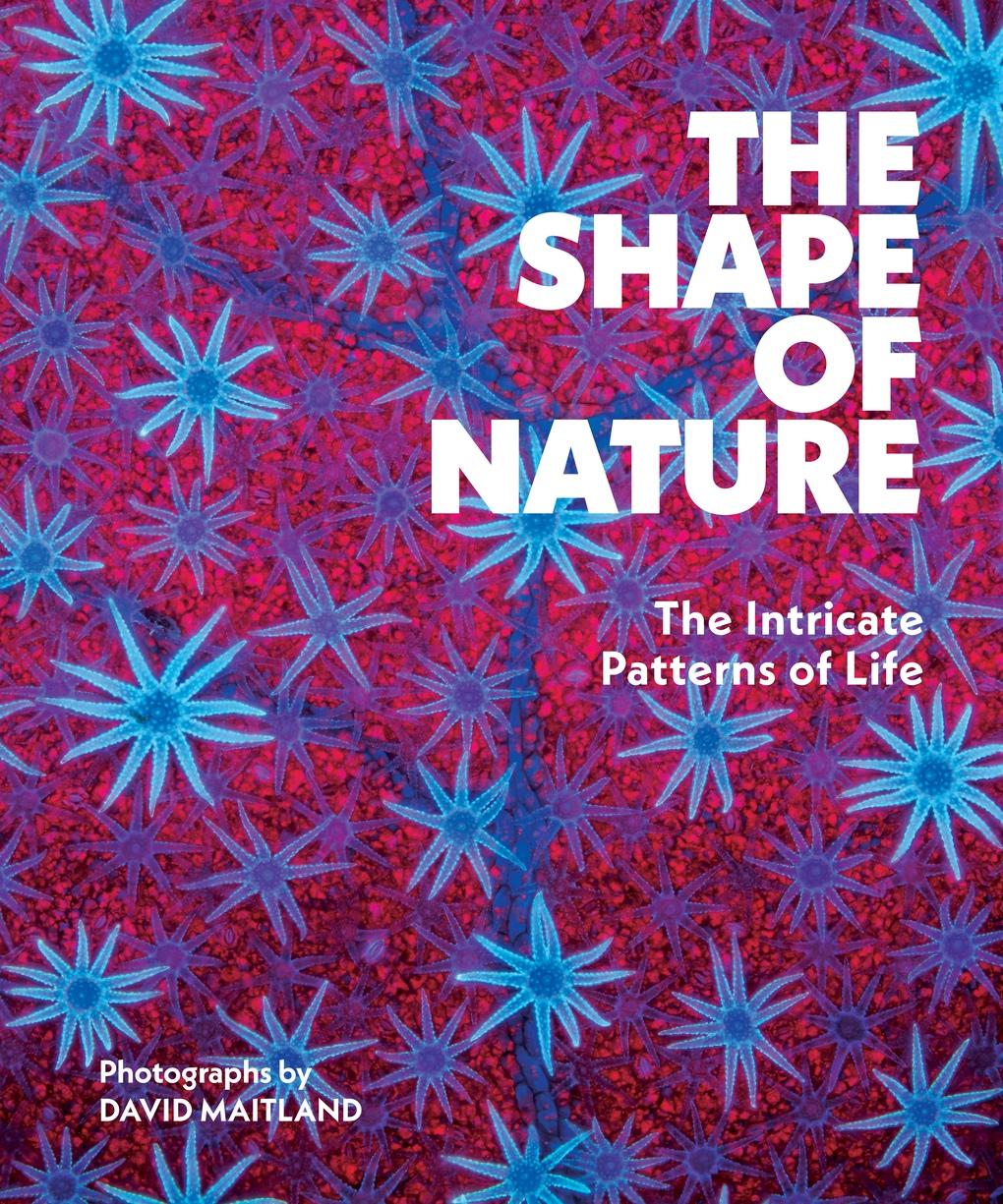 Vorderes Coverbild The Shape of Nature