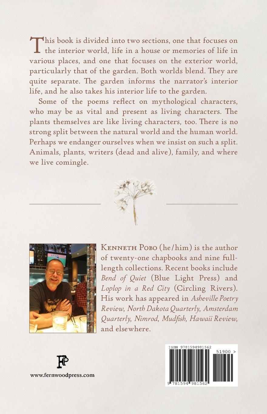 Rückseitencover At the Window, Silence