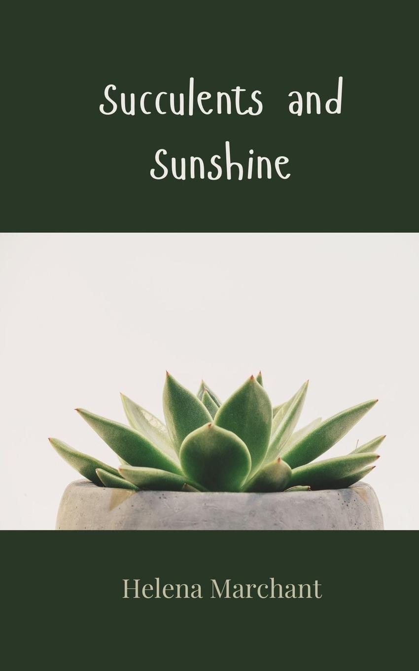 Vorderes Coverbild Succulents and Sunshine