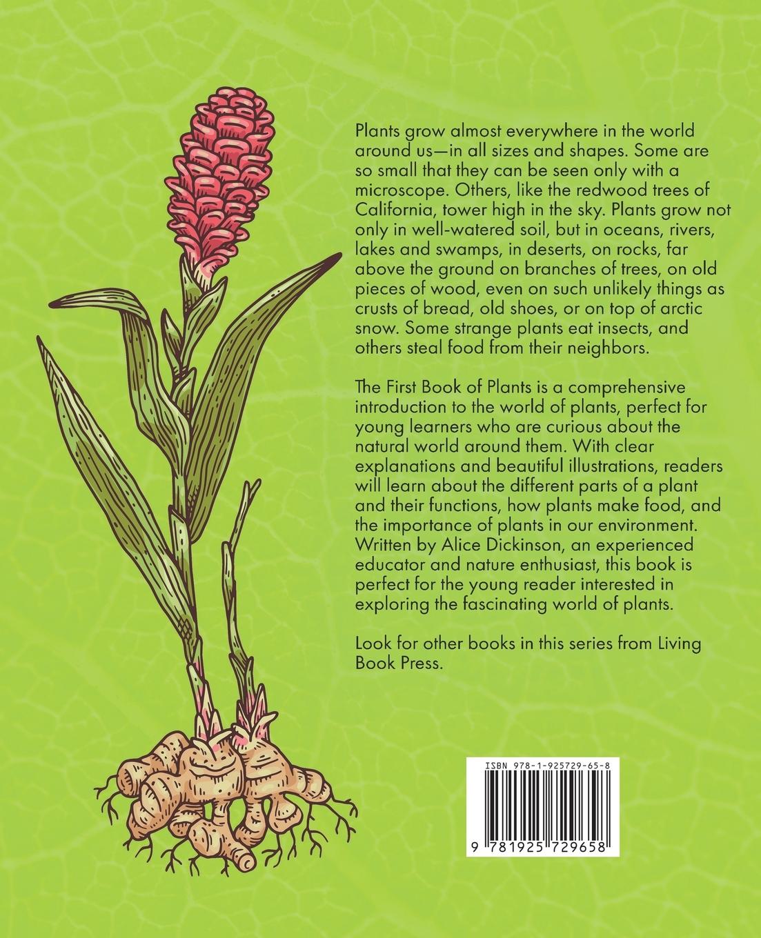 Rückseitencover The First Book of Plants