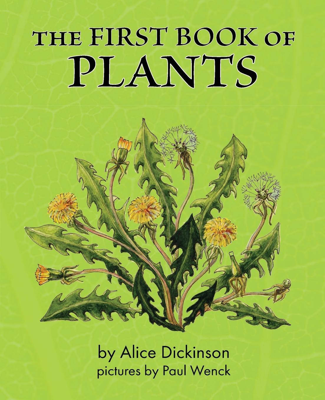 Vorderes Coverbild The First Book of Plants