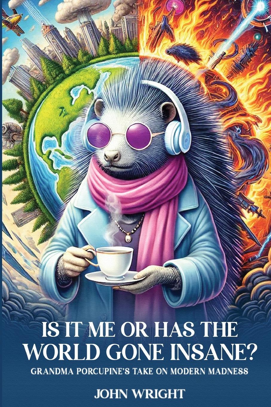 Vorderes Coverbild Is It Me Or Has The World Gone Insane