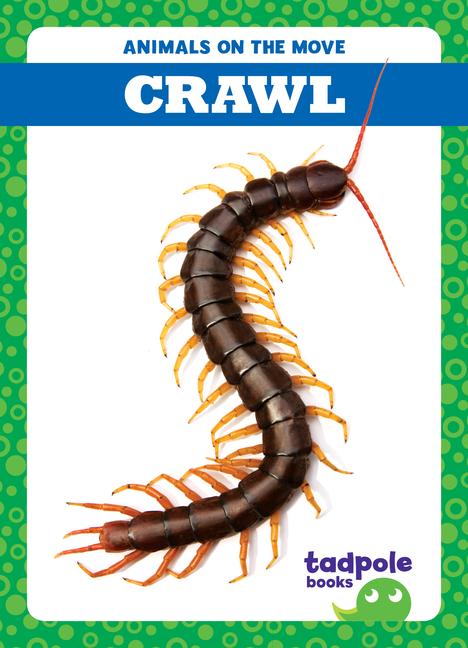 Vorderes Coverbild Crawl