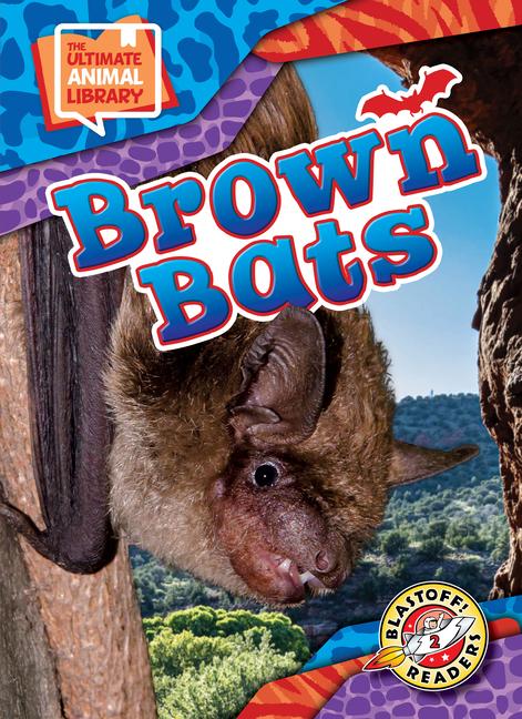 Vorderes Coverbild Brown Bats