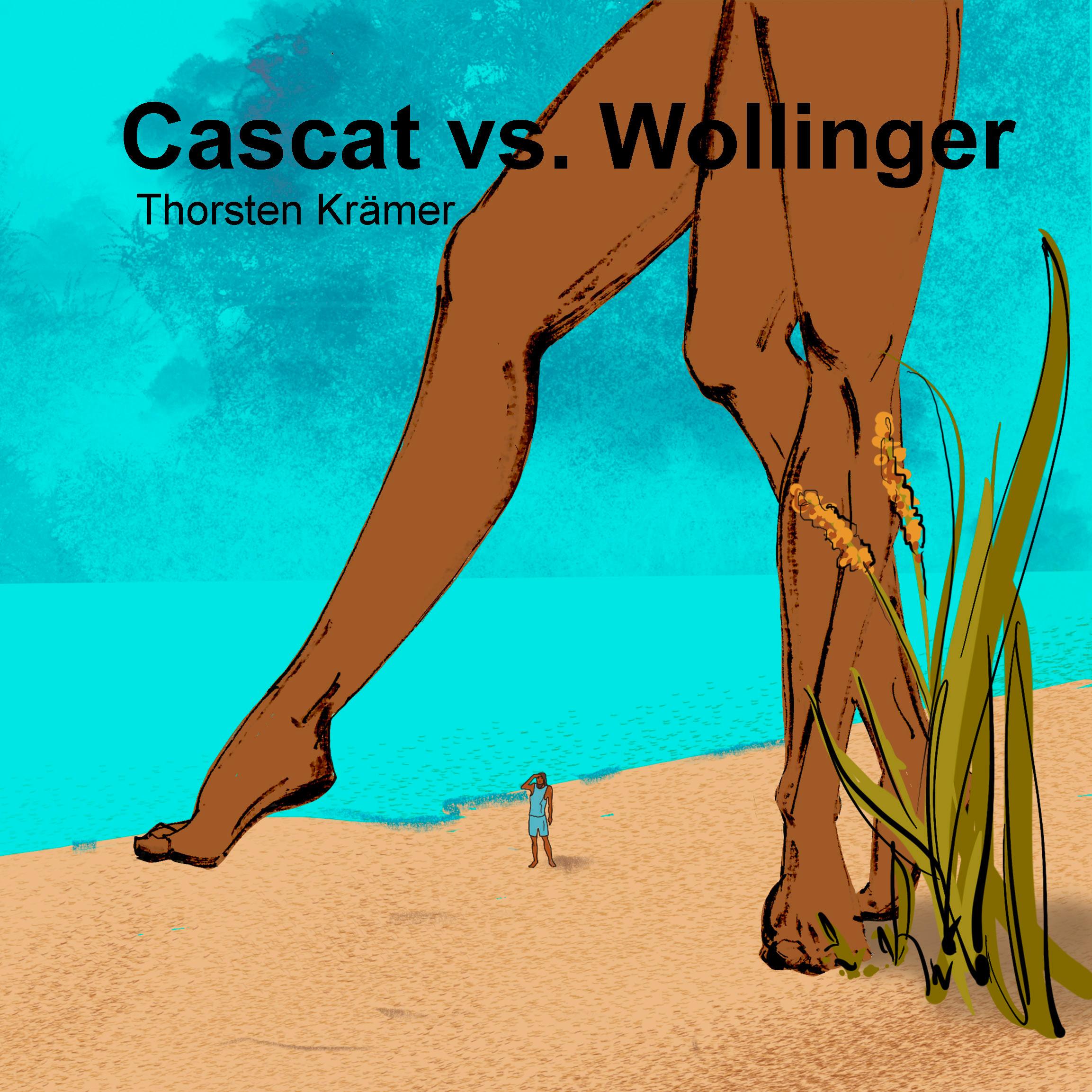 Vorderes Coverbild CASCAT VS. WOLLINGER