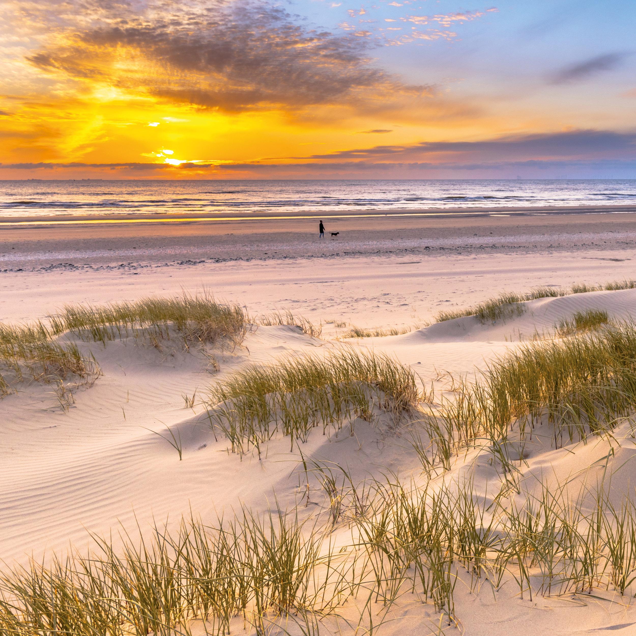 Beispielinhalt (Bild) Nordsee/Northern Sea 2026