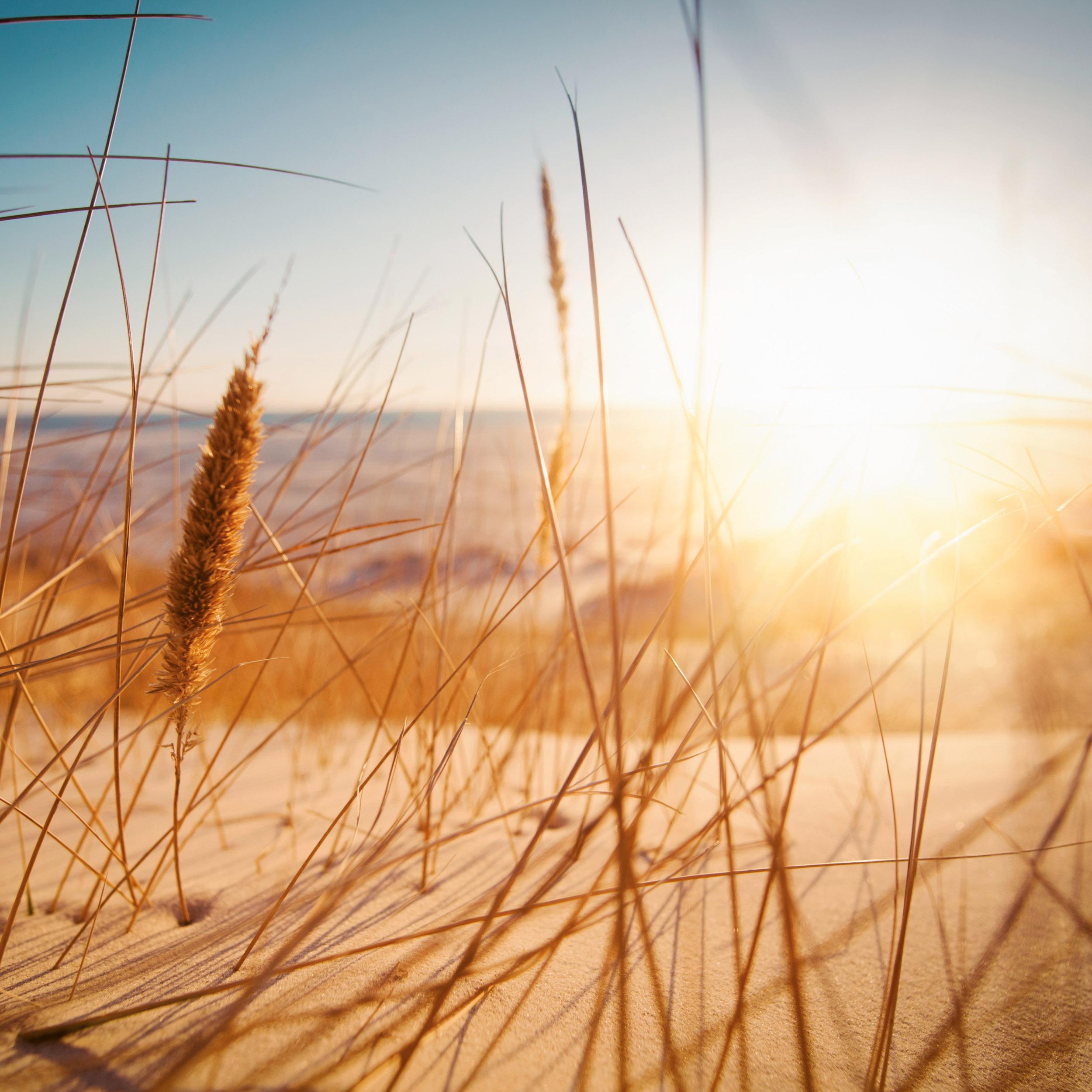 Beispielinhalt (Bild) Nordsee/Northern Sea 2026