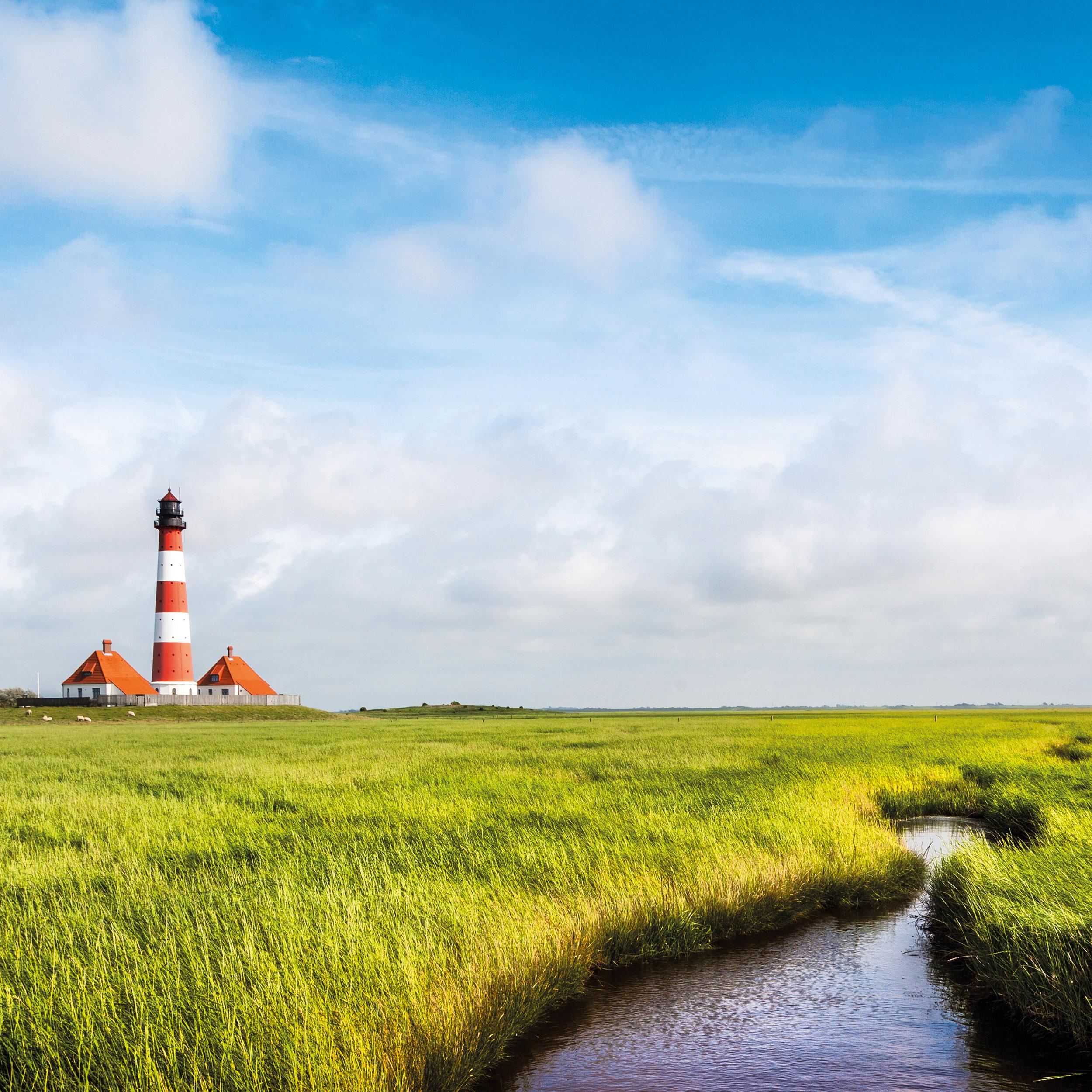 Beispielinhalt (Bild) Nordsee/Northern Sea 2026