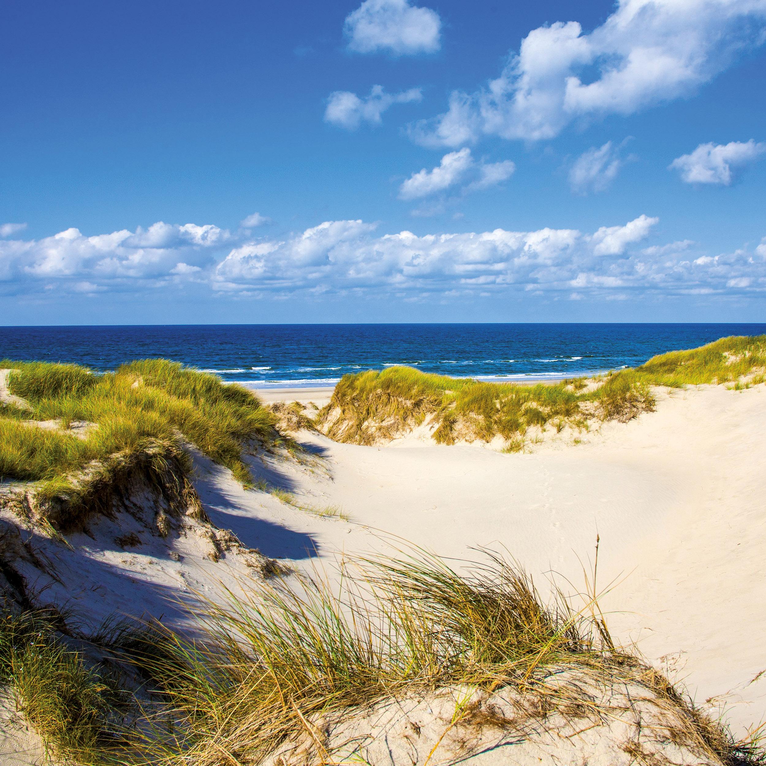 Beispielinhalt (Bild) Nordsee/Northern Sea 2026