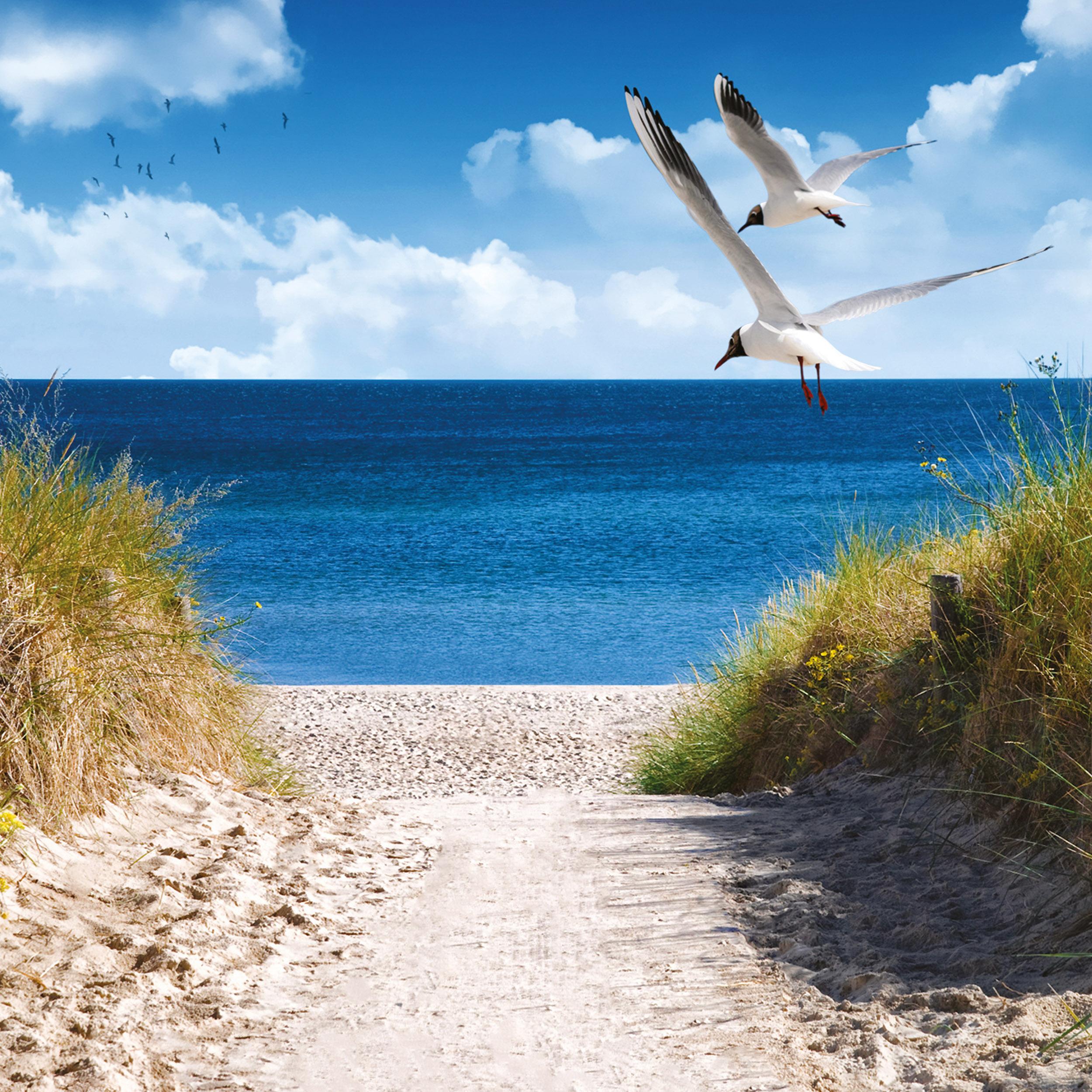 Beispielinhalt (Bild) Nordsee/Northern Sea 2026