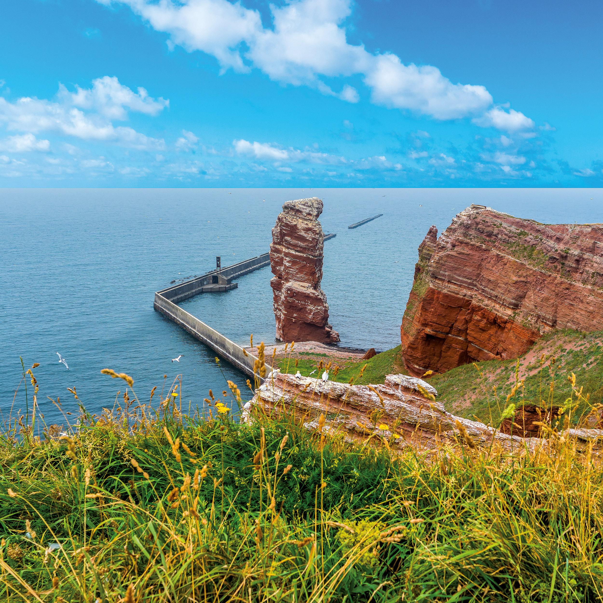 Beispielinhalt (Bild) Nordsee/Northern Sea 2026