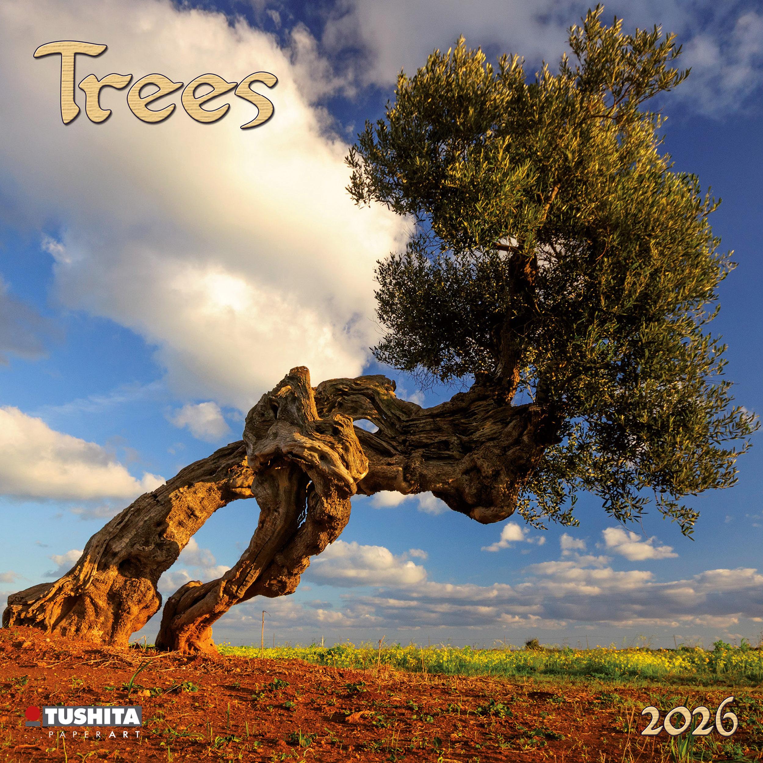Vorderes Coverbild Trees  2026