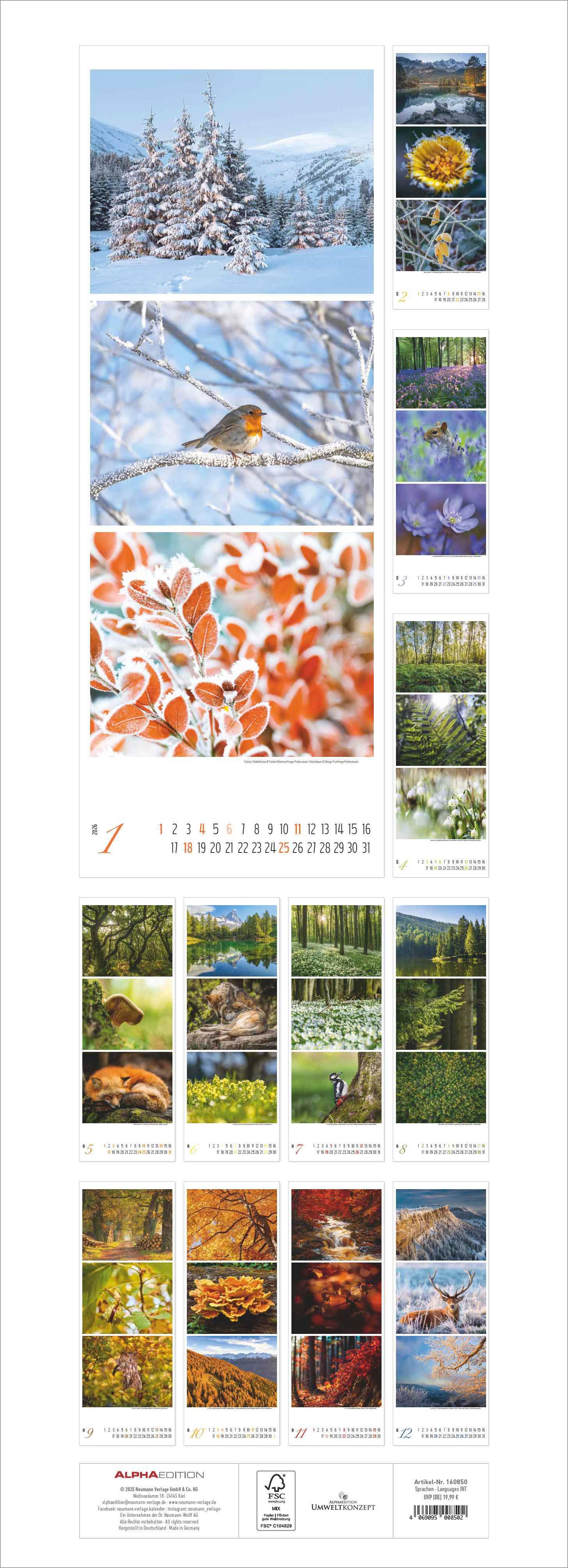 Rückseitencover Waldleben - Triplets 2026 - Streifenkalender XXL 25x69 cm - Bildkalender im Hochformat - Naturkalender