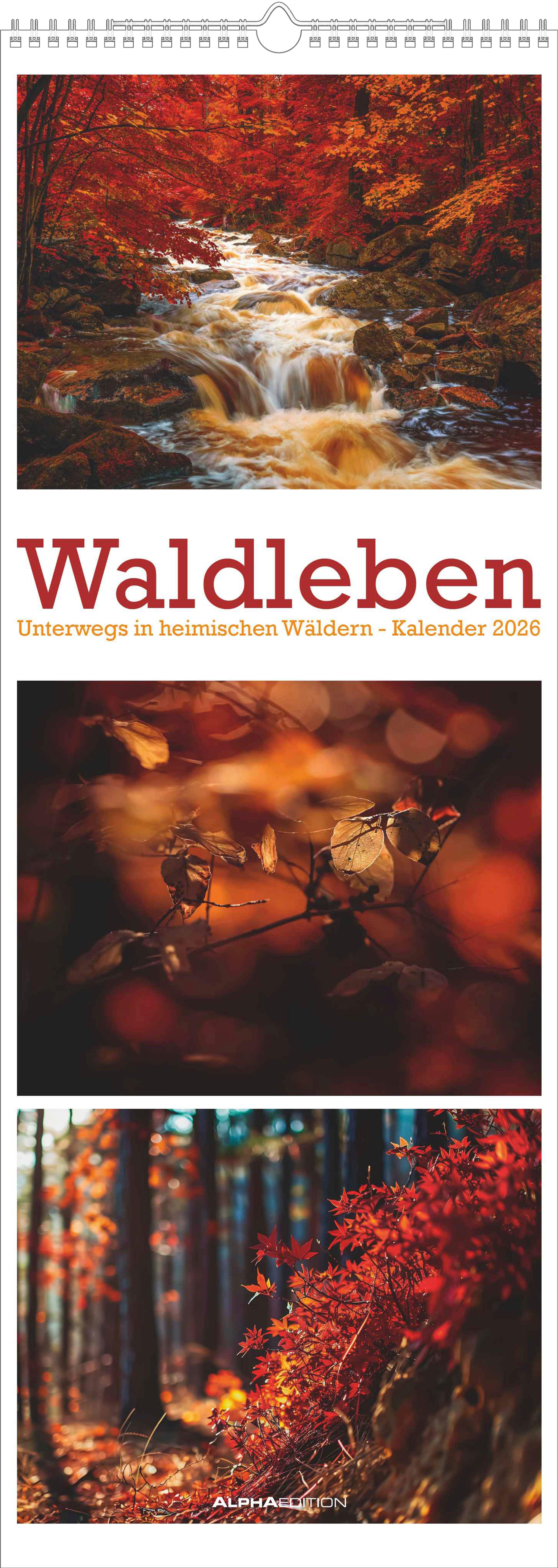 Vorderes Coverbild Waldleben - Triplets 2026 - Streifenkalender XXL 25x69 cm - Bildkalender im Hochformat - Naturkalender