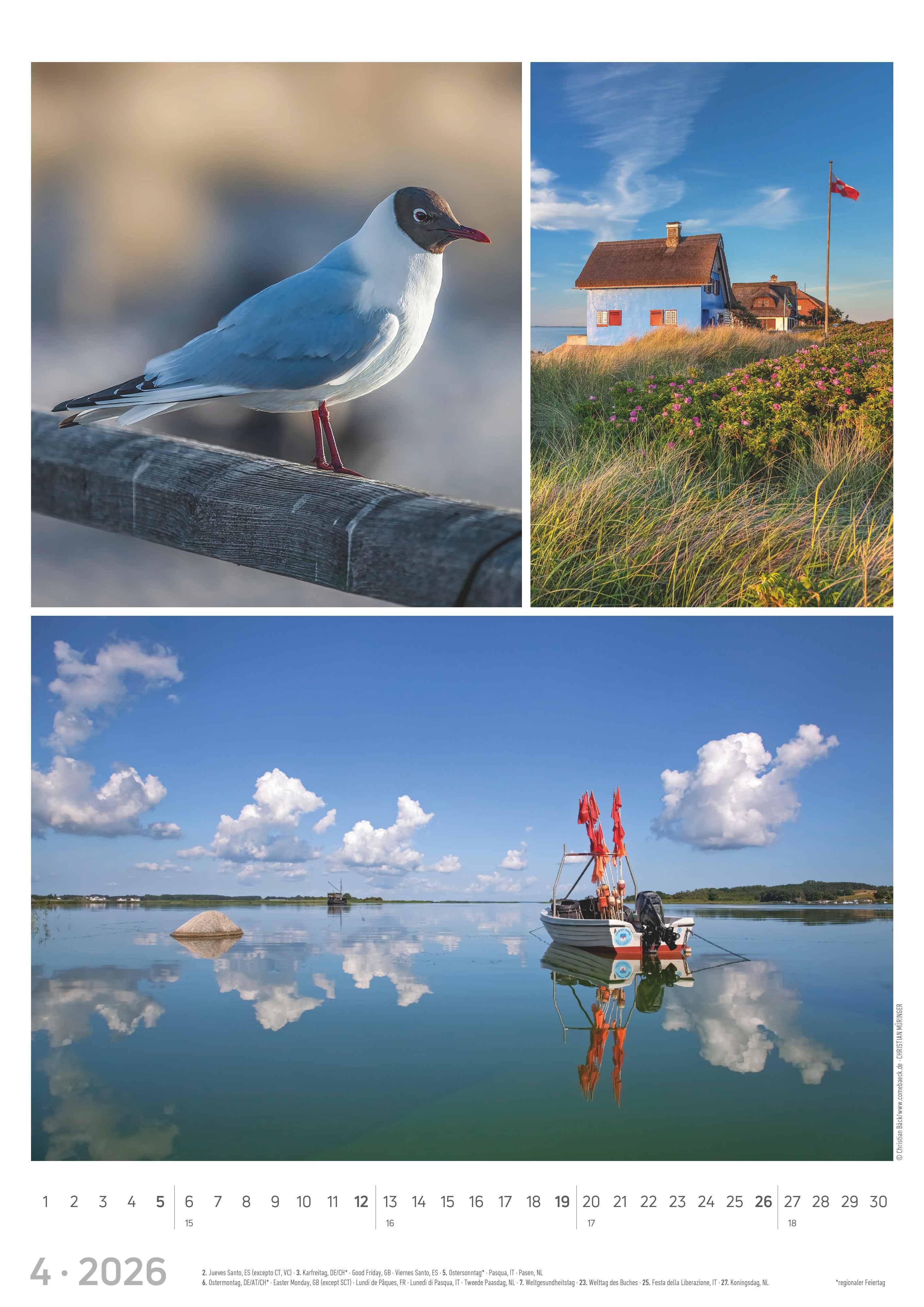 Beispielinhalt (Bild) Strandgeflüster - Momente am Meer 2026 - Bildkalender A3 (29,7x42 cm) - mit Feiertagen - Triplets - drei Bilder pro Monat - Naturkalender - Wandplaner - Wandkalender