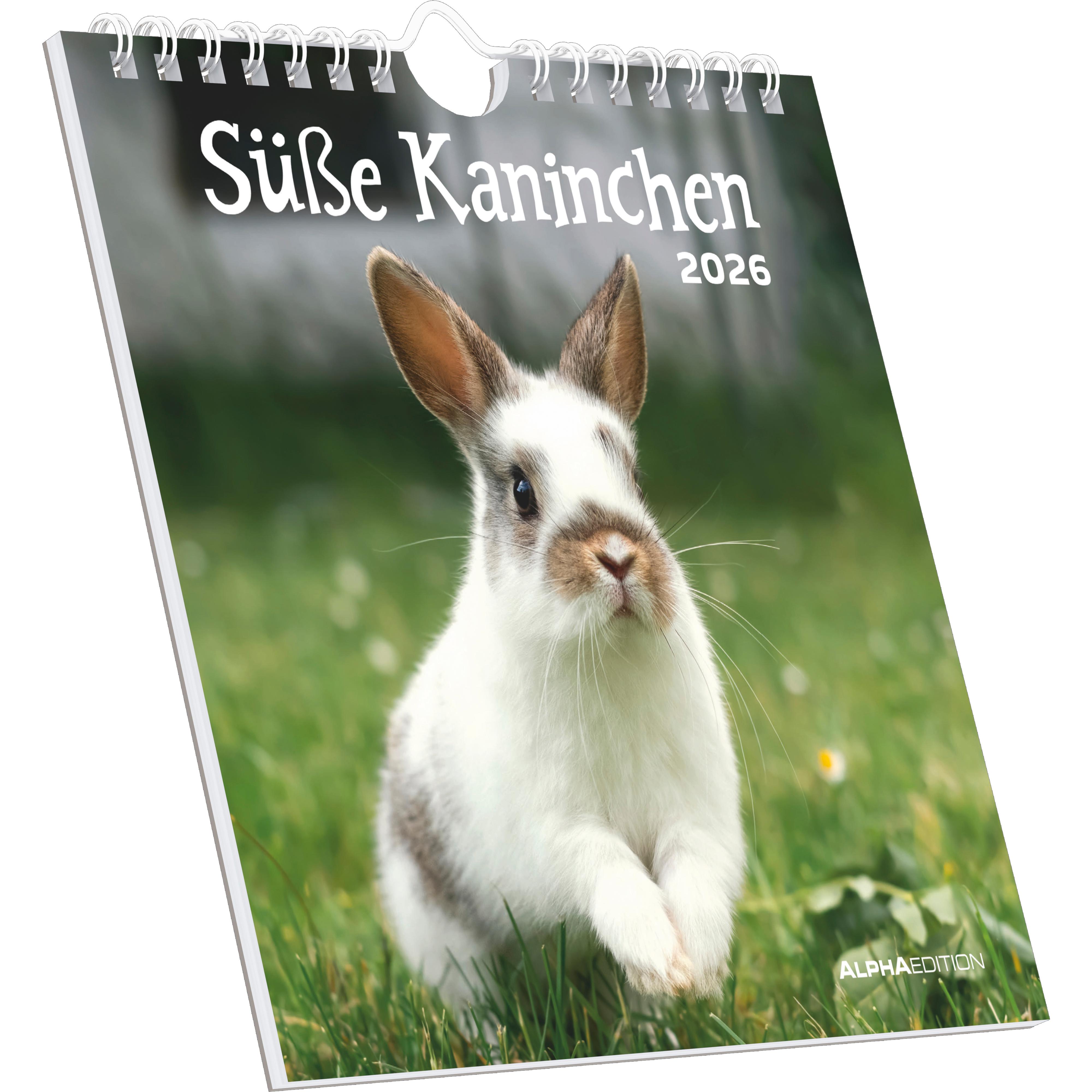 Vorderes Coverbild Süße Kaninchen 2026 - Postkartenkalender 16x17 cm