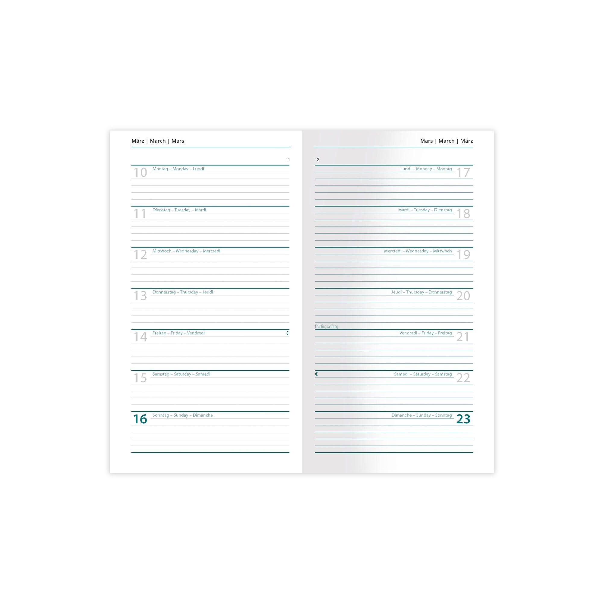 Beispielinhalt (Bild) Buchkalender-Set: Buchkalender & Wochenplaner 2026 schwarz