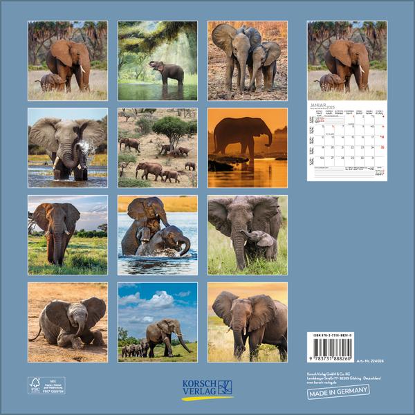 Beispielinhalt (Bild) Elefanten 2026