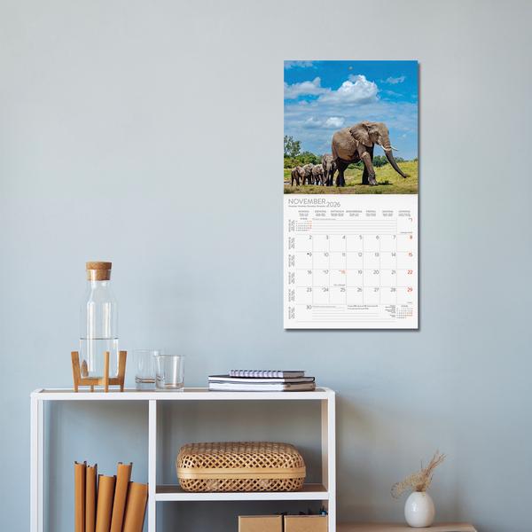 Beispielinhalt (Bild) Elefanten 2026