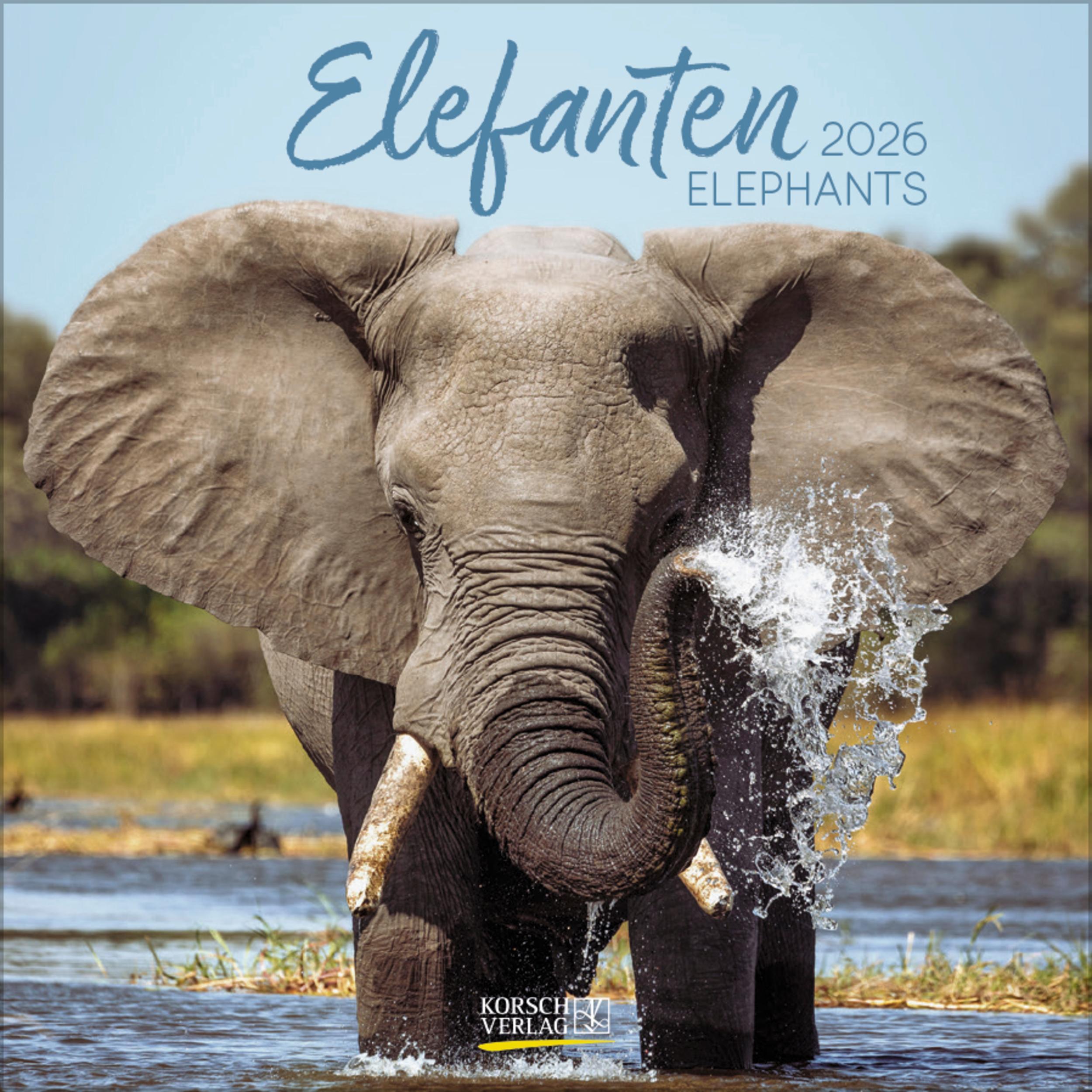 Vorderes Coverbild Elefanten 2026