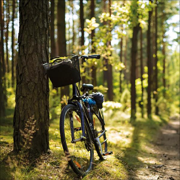 Beispielinhalt (Bild) Bike Love 2026