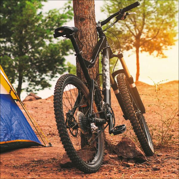 Beispielinhalt (Bild) Bike Love 2026