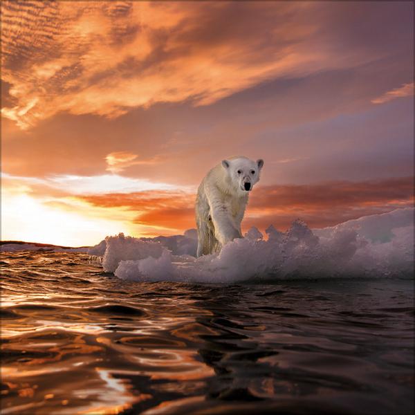 Beispielinhalt (Bild) Moments in Nature 2026