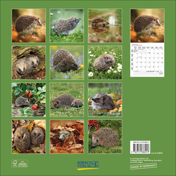 Beispielinhalt (Bild) Igel 2026