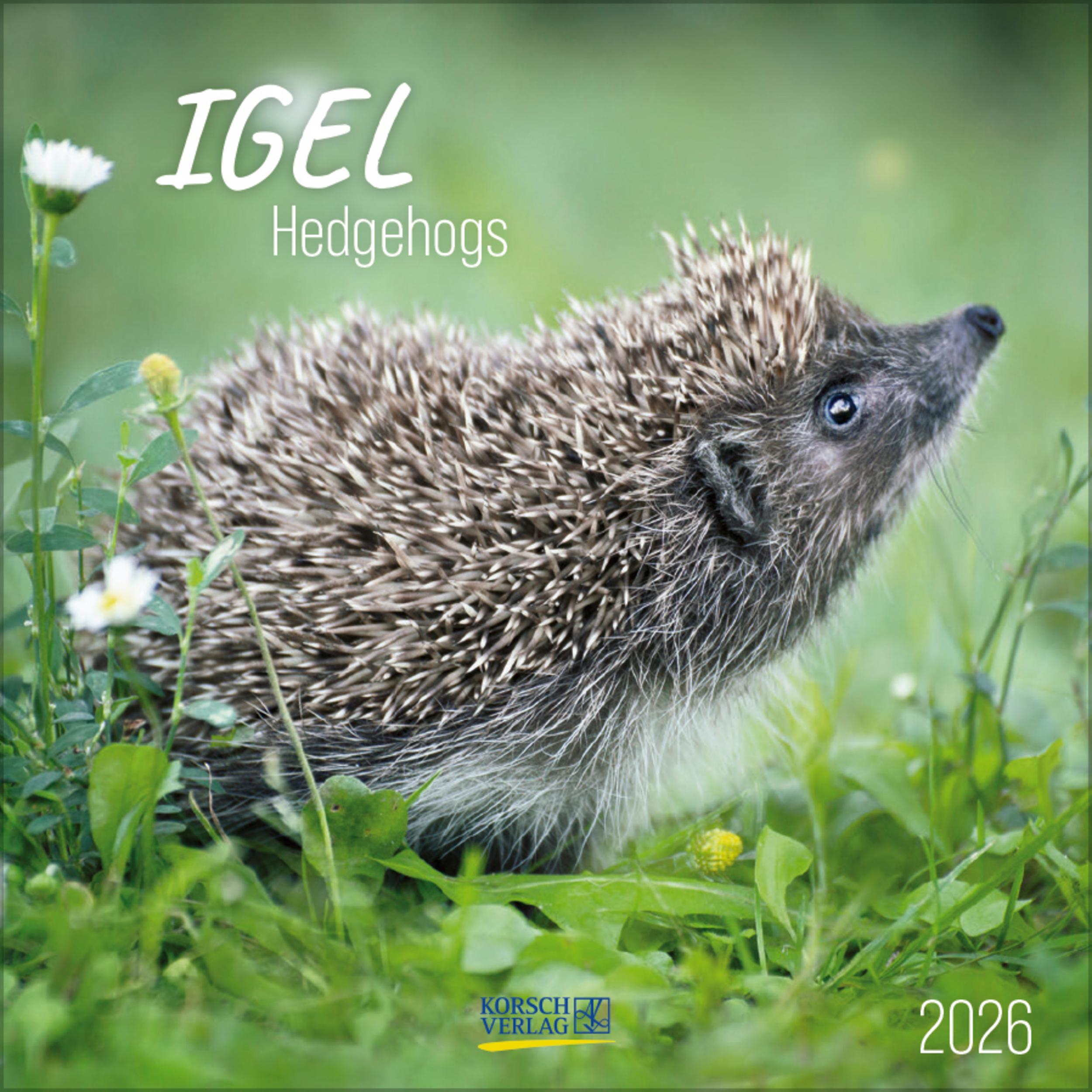 Vorderes Coverbild Igel 2026