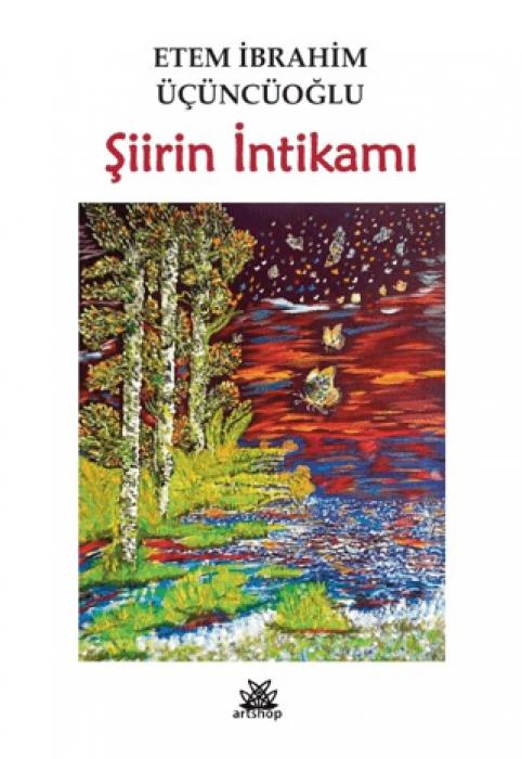 Vorderes Coverbild Siirin Intikami