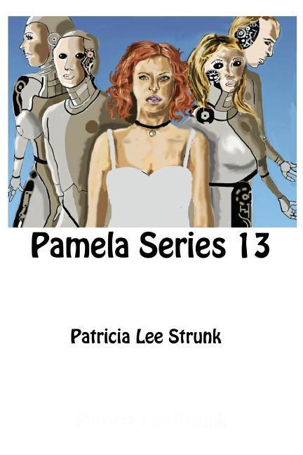 Vorderes Coverbild Pamela Series 13