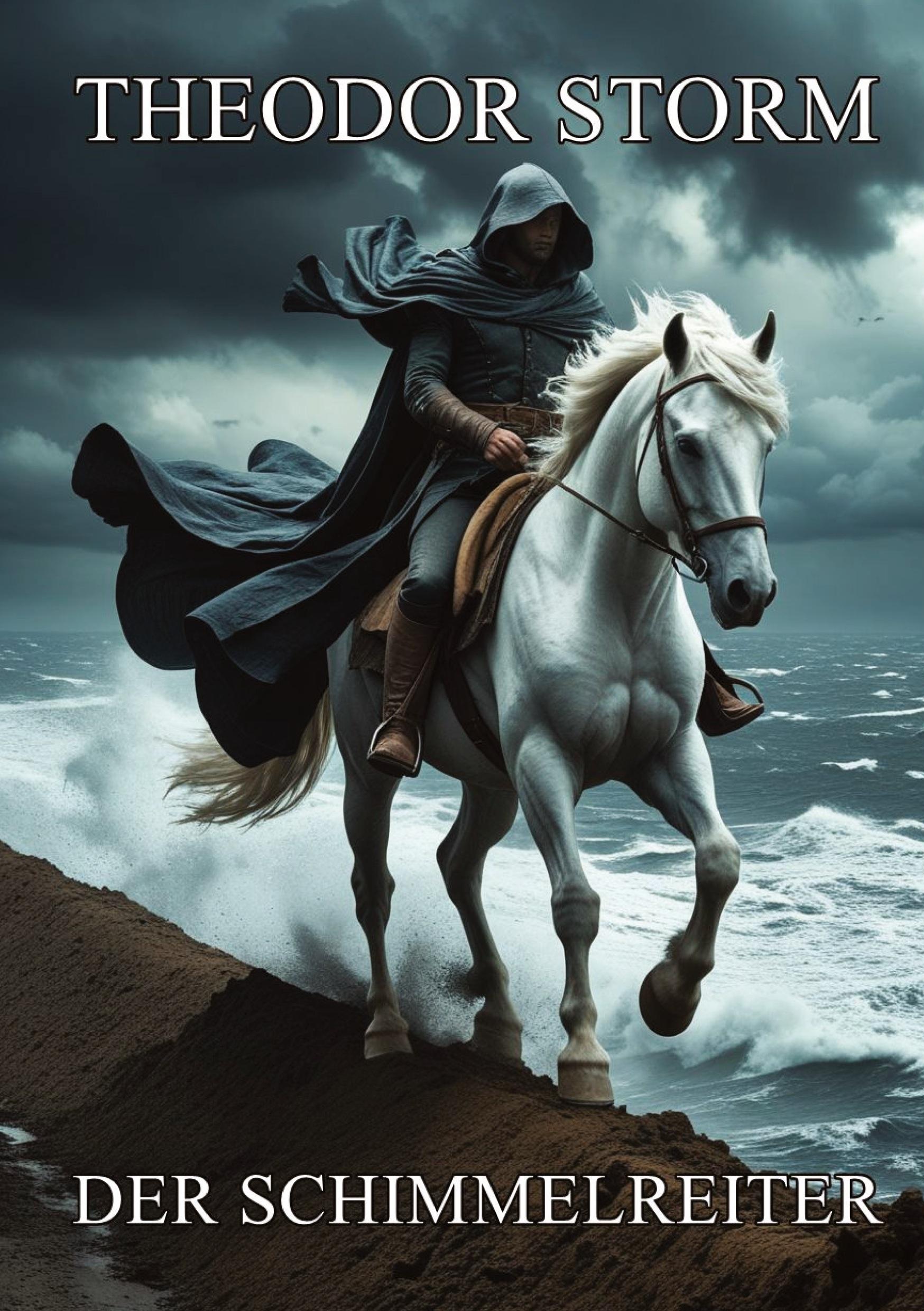 Vorderes Coverbild Der Schimmelreiter