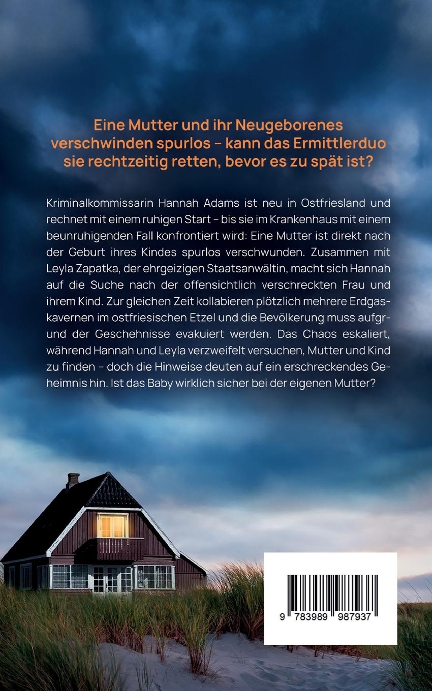 Rückseitencover Deichschatten | Ein fesselnder Ostfriesland Krimi