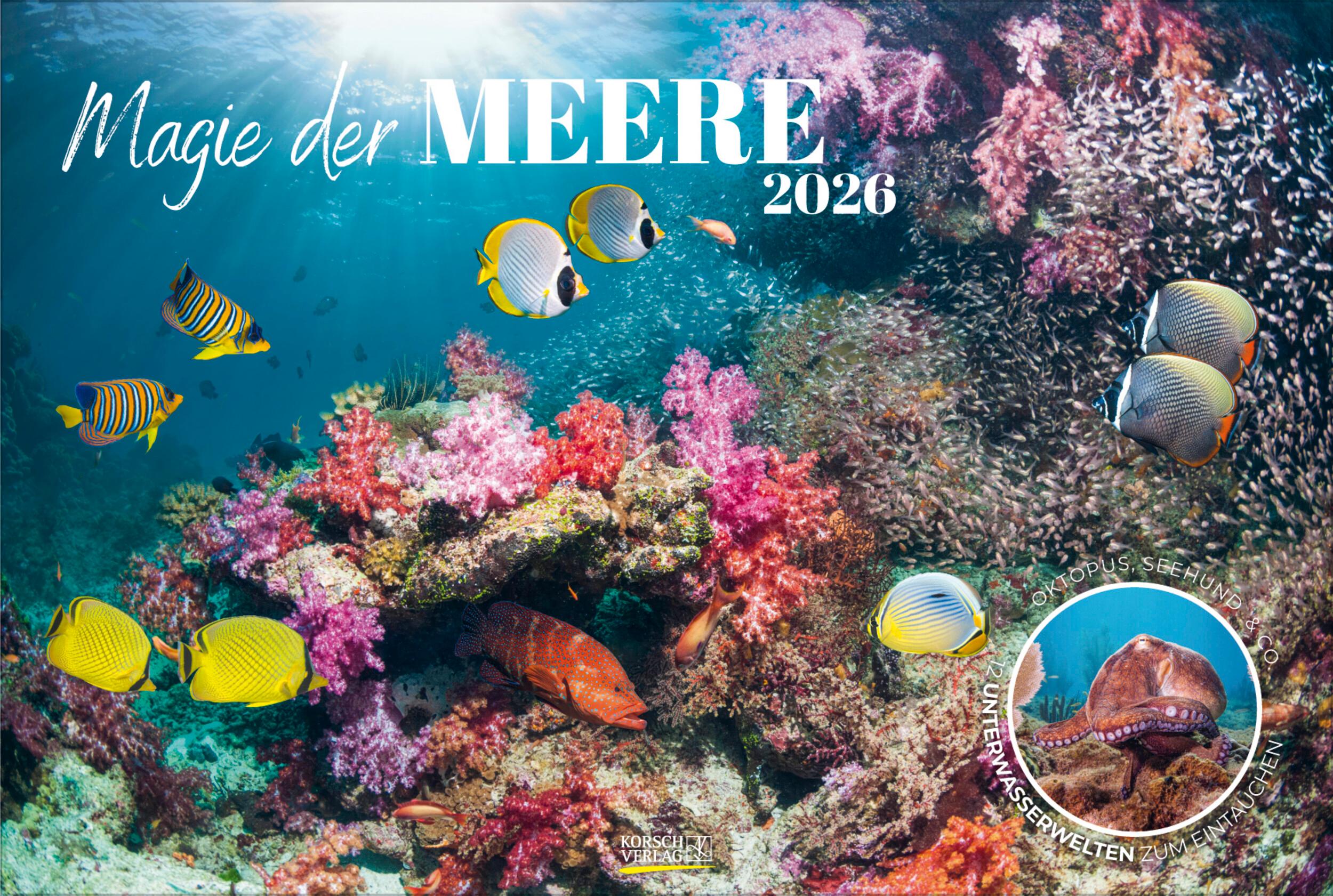 Vorderes Coverbild Magie der Meere 2026