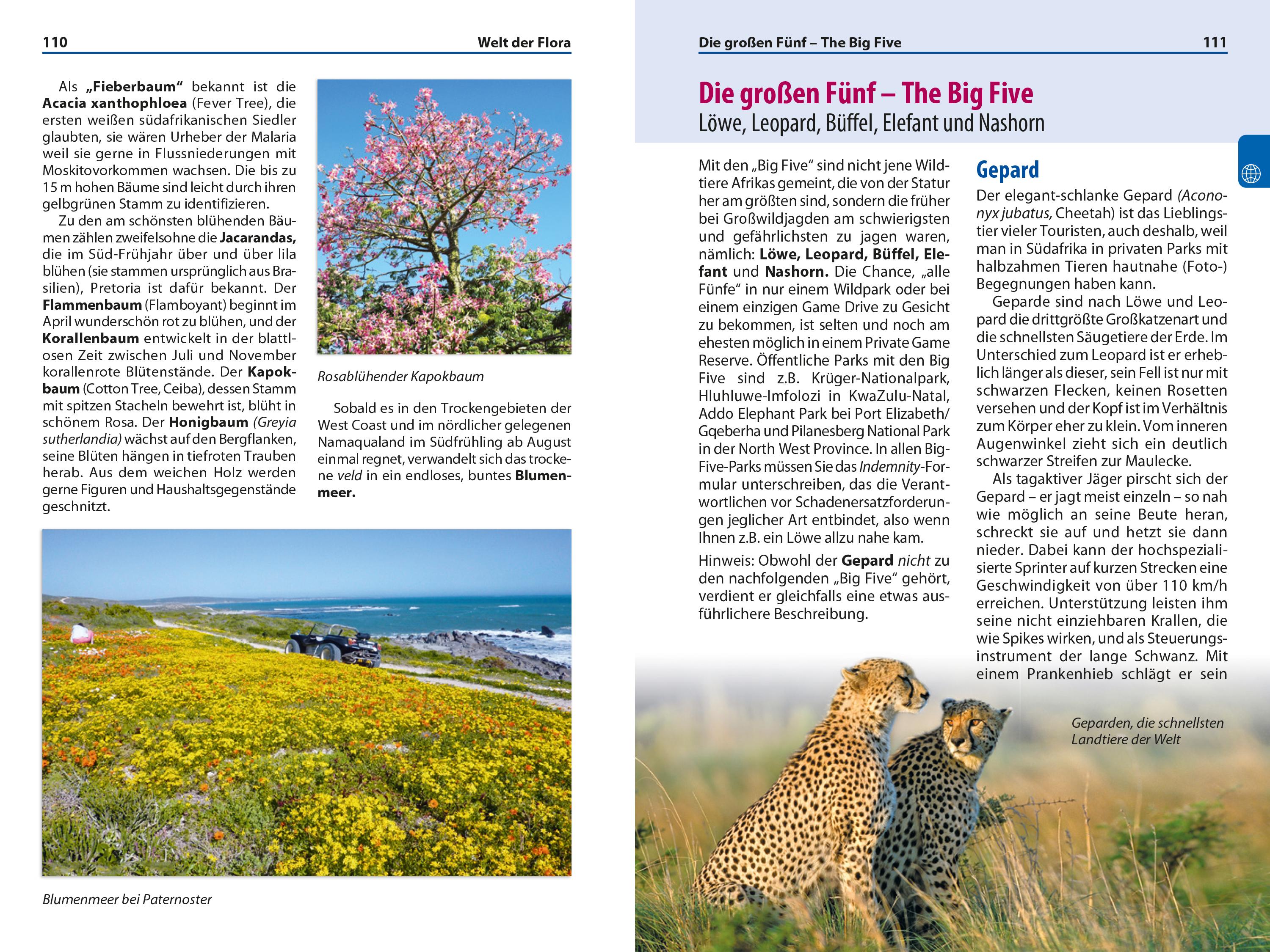 Beispielinhalt (Bild) Reise Know-How Reiseführer Südafrika