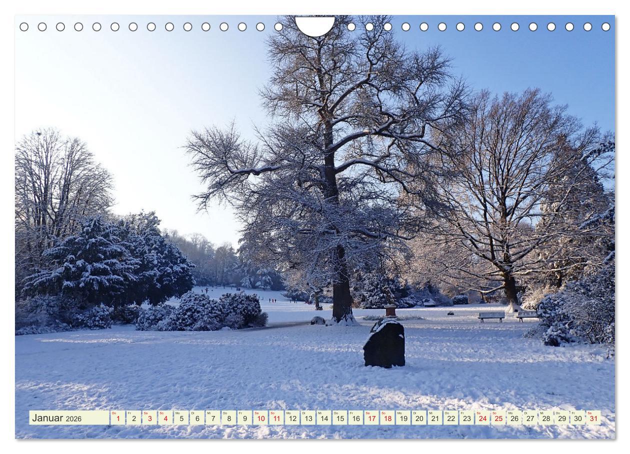 Beispielinhalt (Bild) Weinheim erleben Schlosspark, Burgen und einladender Marktplatz (Wandkalender 2026 DIN A4 quer), CALVENDO Monatskalender