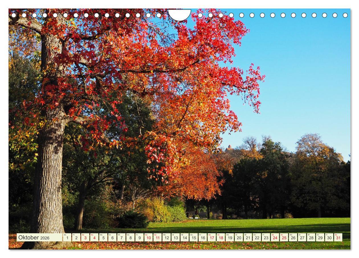 Beispielinhalt (Bild) Weinheim erleben Schlosspark, Burgen und einladender Marktplatz (Wandkalender 2026 DIN A4 quer), CALVENDO Monatskalender