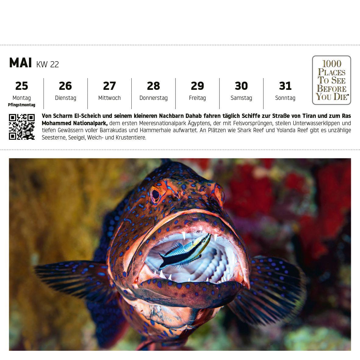Beispielinhalt (Bild) Nationalparks und Naturparadiese Postkartenkalender