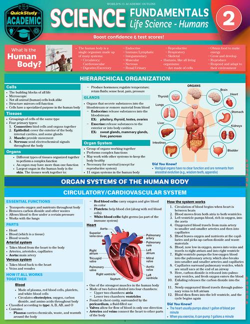 Vorderes Coverbild Science Fundamentals 2 - Life Science: Humans