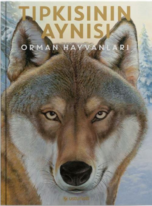 Vorderes Coverbild Tipkisinin Aynisi
