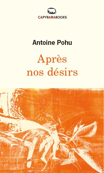 Vorderes Coverbild Après nos désirs