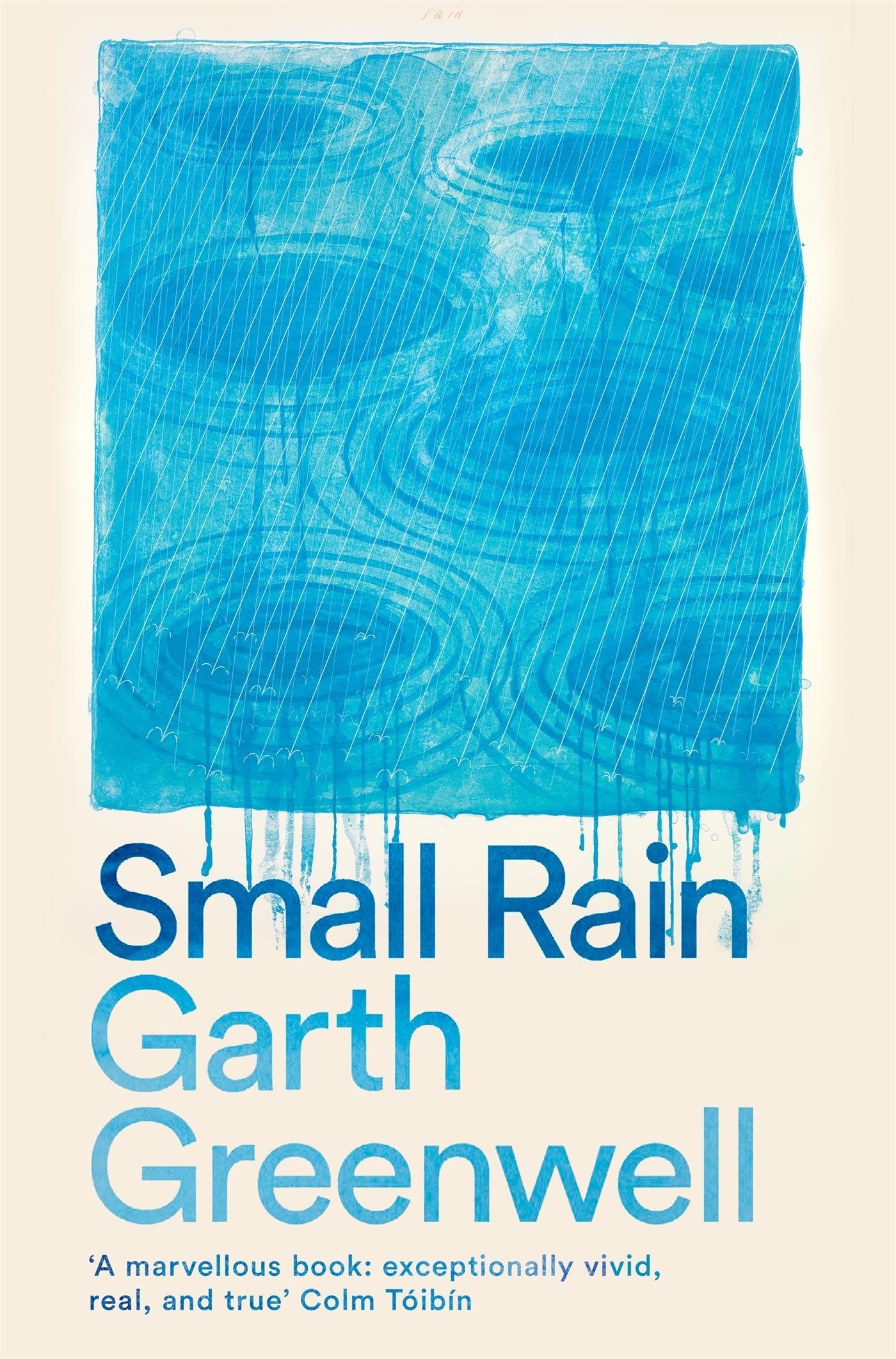 Vorderes Coverbild Small Rain