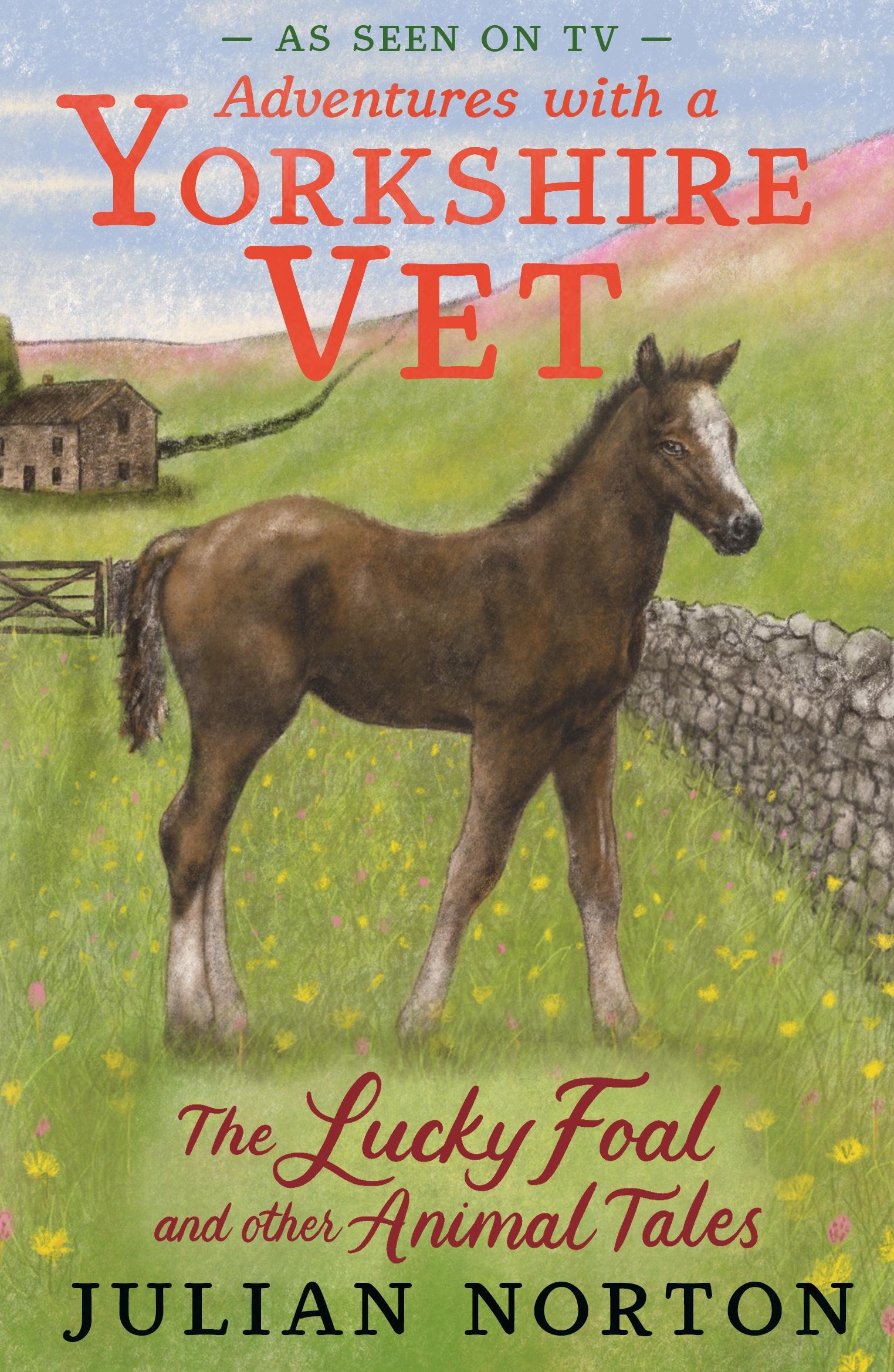 Vorderes Coverbild Adventures with a Yorkshire Vet: The Lucky Foal and Other Animal Tales