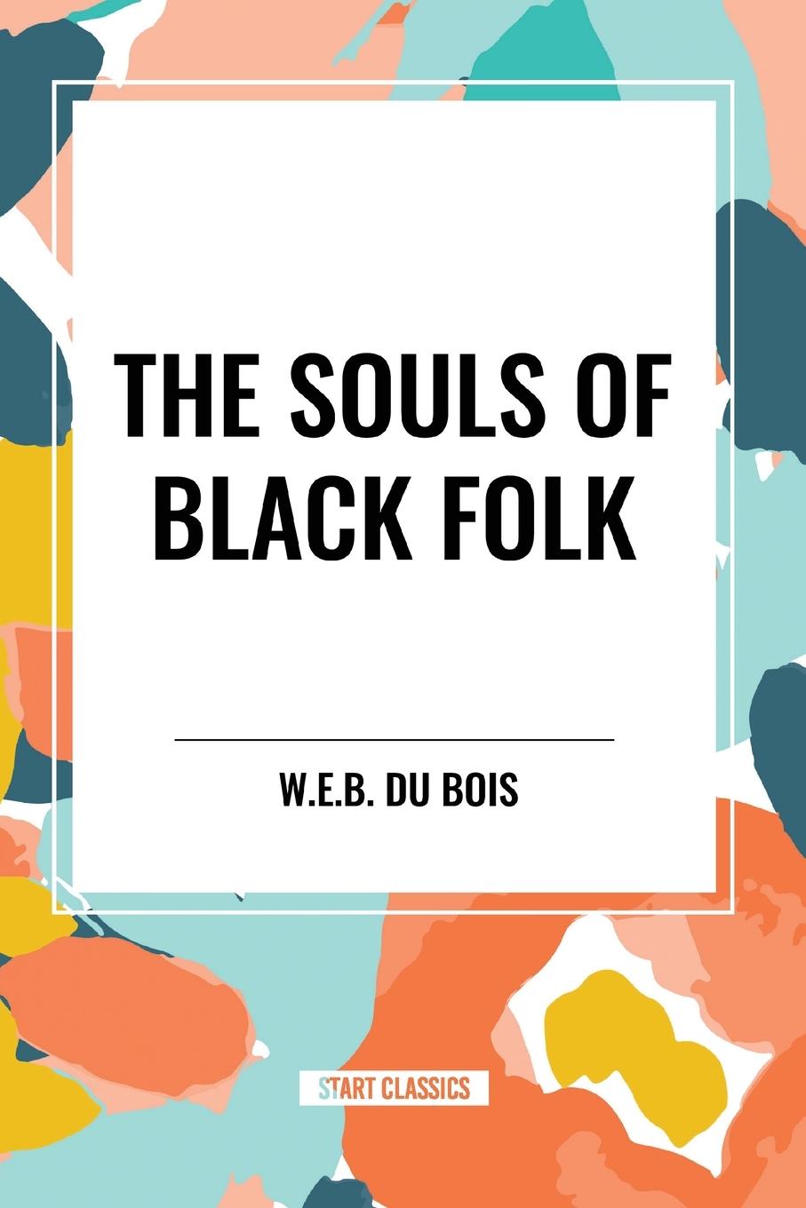 Vorderes Coverbild The Souls of Black Folk (An African American Heritage Book)