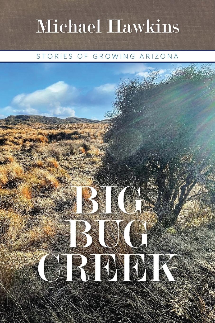 Vorderes Coverbild Big Bug Creek