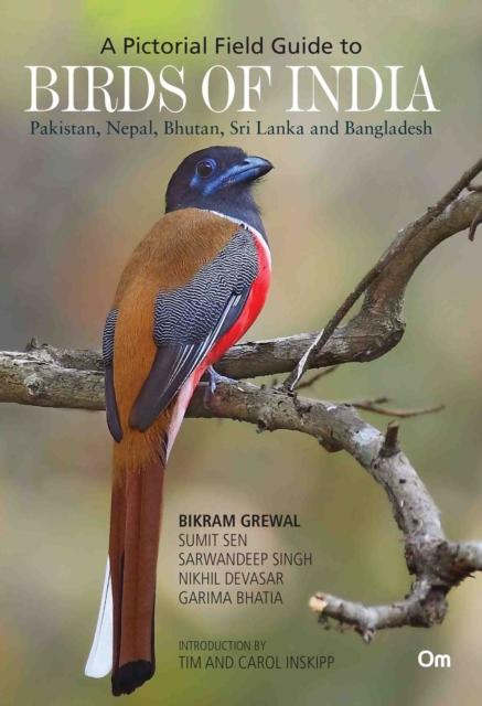 Vorderes Coverbild Birds of India