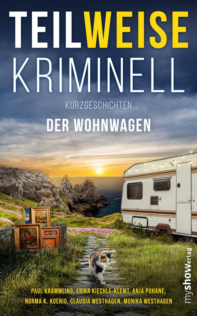 Vorderes Coverbild TEILWEISE KRIMINELL