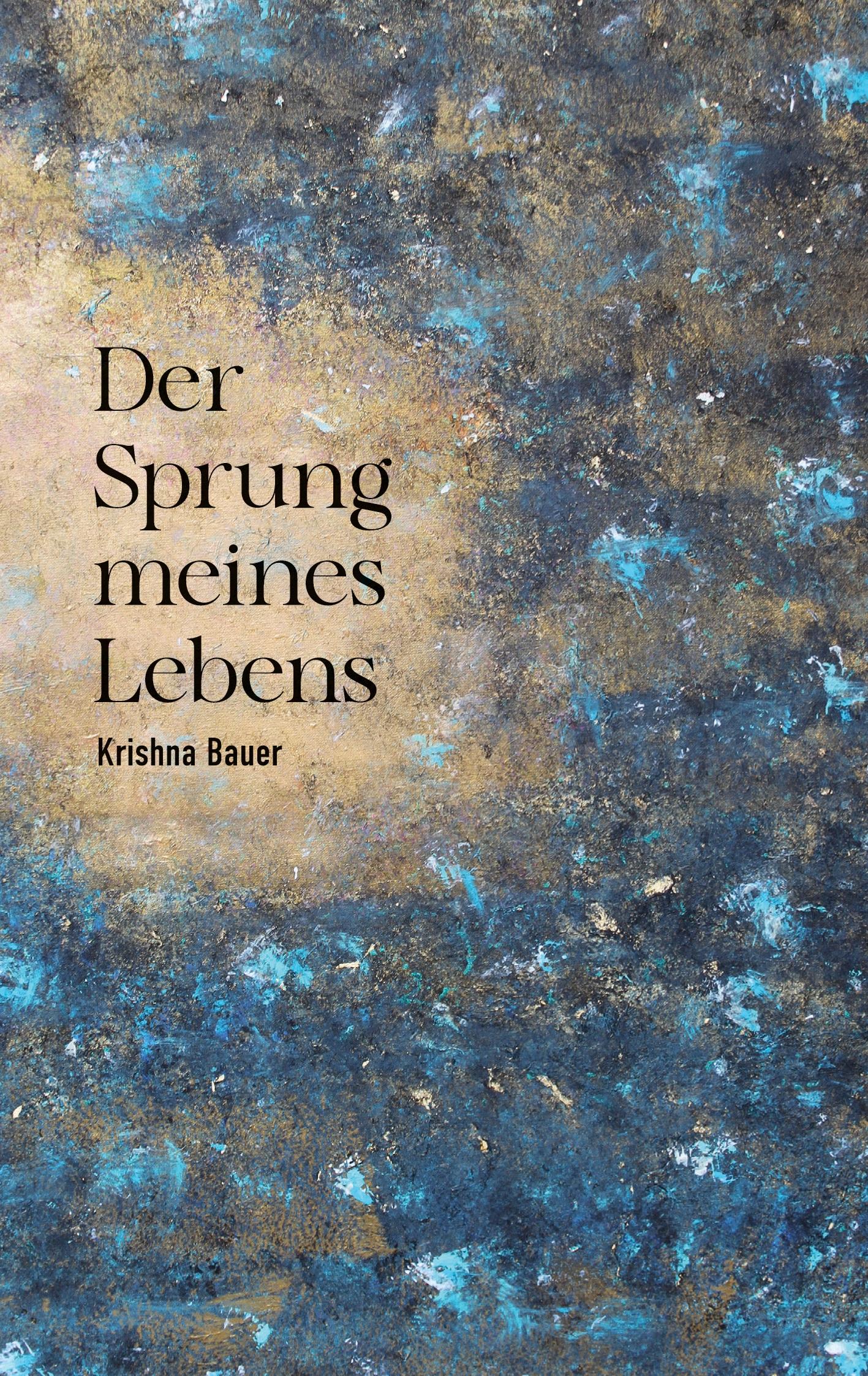 Vorderes Coverbild Der Sprung meines  Lebens
