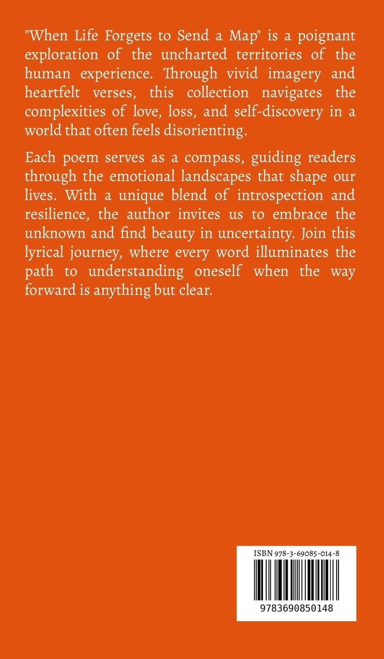 Rückseitencover When Life Forgets to Send a Map